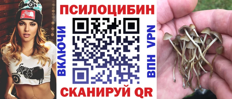 закладки  Аргун  Галлюциногенные грибы прущие грибы 